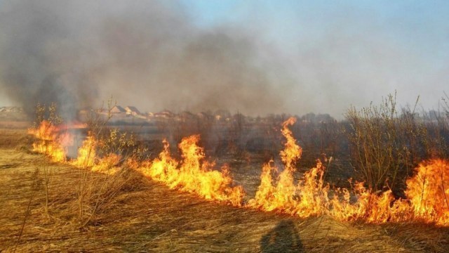 За добу на Львівщині зафіксували шість пожеж сухостою