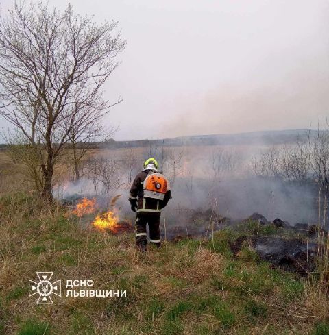 За добу на Львівщині зафіксували понад 20 пожеж сухостою