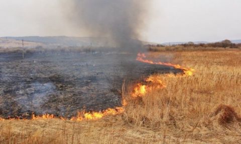 У Львові сталося три пожежі через загорання сухостою