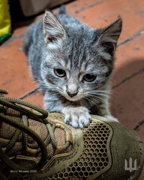 Генштаб ЗСУ оприлюднив втрати росіян на 5 лютого