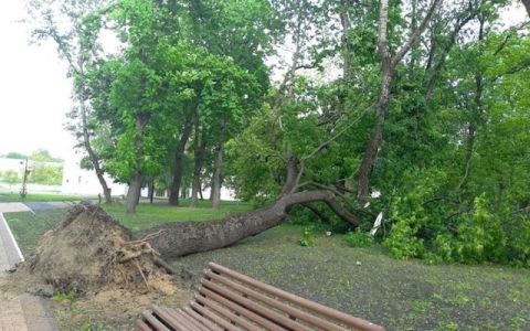 186 населених пунктів Львівщини залишилась повністю без світла через негоду