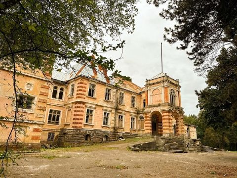 Фахівці не можуть визначитися, що облаштувати у палаці Лянцкоронських в Роздолі