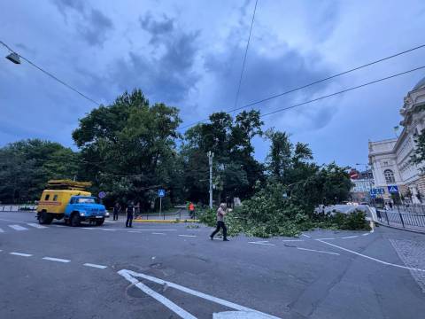 Через негоду на Львівщині знеструмлено 206 населених пунктів