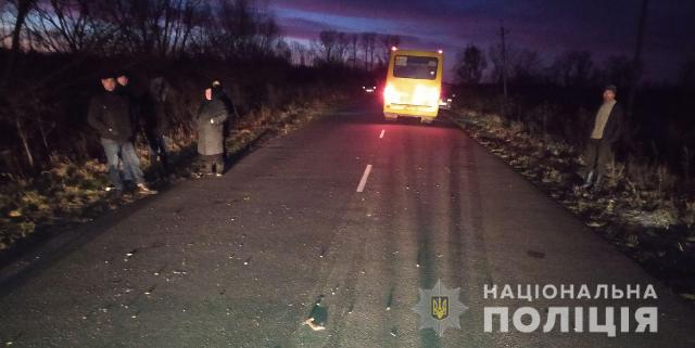 На Пустомитівщині маршрутка насмерть збила пішохода