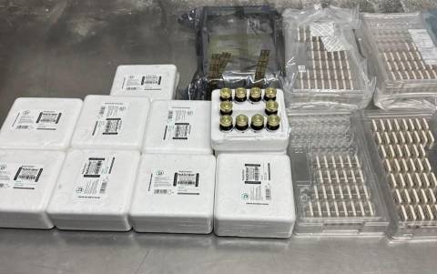 У Шегинях виявили контрабанду антен та ін’єкцій для довголіття на майже мільйон гривень