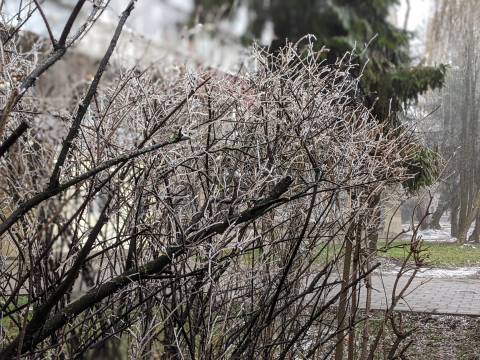 Курс валют у Львові на 29 грудня