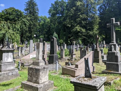 Мерія Львова за понад сім мільйонів гривень планує викупити у мешканців землю для нового цвинтаря