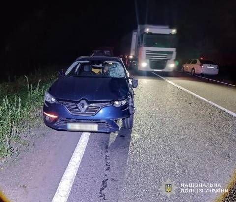 На трасі Львів – Луцьк водій Renault Megan на смерть збив пішохода