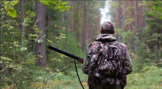 Під час полювання на Сокальщині підстрелили єгера