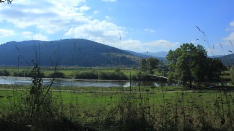 У чверті дитячих таборів Львівщини вода непридатна для пиття