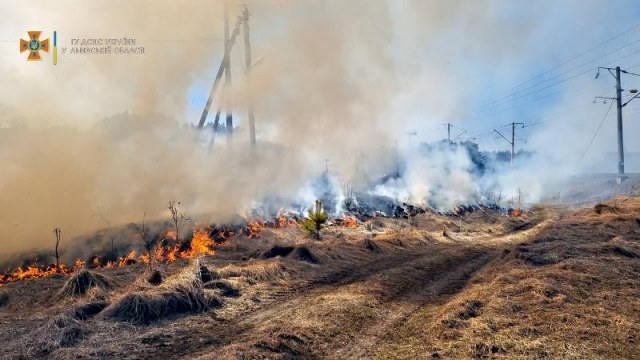 За добу на Львівщині зафіксували 14 пожеж сухостою