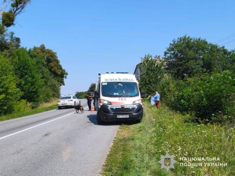 На Золочівщині п'яний водій на смерть збив військовослужбовця