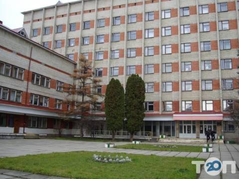 Петиція за збереження аптеки на Симоненка у Львові зібрала необхідну кількість голосів в підтримку 