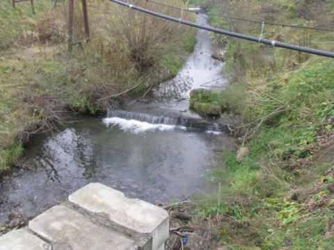 На Львівщині у січні найбільше забруднюючих речовин виявили у річці Шкло