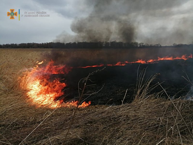 У Рава-Руській виникла пожежа сухостою