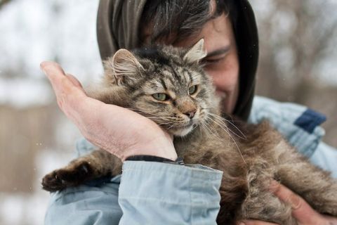Львівський міні-притулок для тварин збирає кошти на паркан