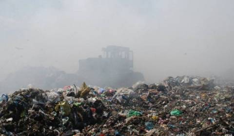 Садовий та сміття