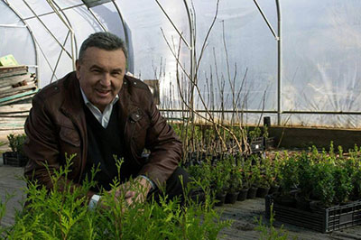 Депутат Ільницький заробляє на лісі більше 19 тисяч у місяць