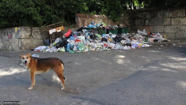 Дрогобич продовжує потопати у смітті