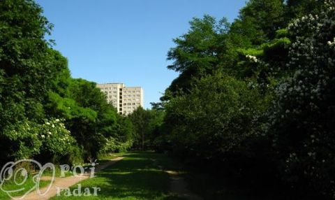 Снопківський парк у Львові планують забудувати – Галина Янко