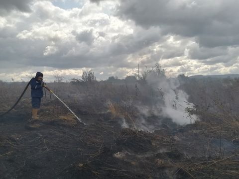 На Пустомитівщині рятувальники другий тиждень поспіль намагаються погасити пожежу торфу