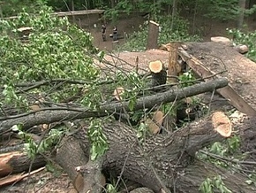 840 дерев незаконно зрубані на Жовківщині