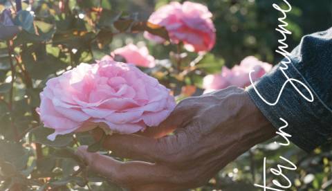 Погода на середу: без опадів, +3°C