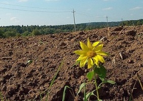 Громаді Яворівщини повернули незаконно відібрану землю вартістю 318 тис. грн