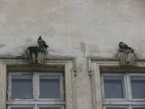 Курс валют у Львові на 25 лютого