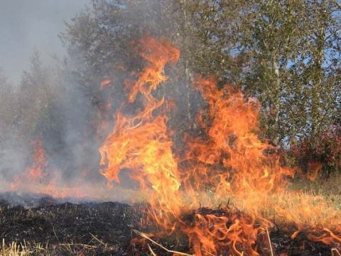 Пожежа на Сокальщині: зайнялася суха трава