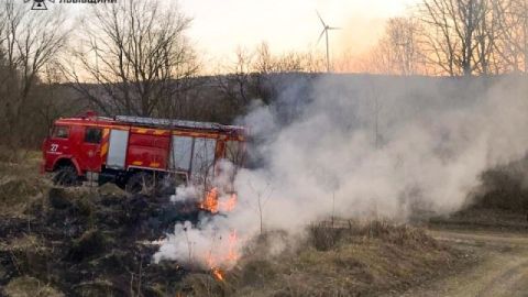 За добу на Львівщині зафіксували майже 20 пожеж сухостою