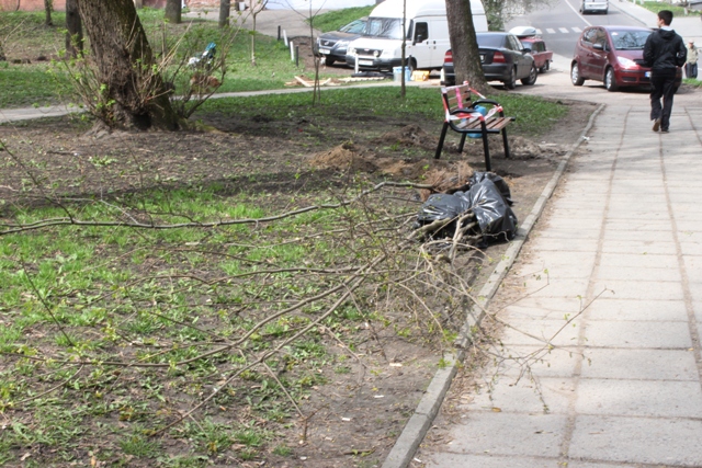 У межах місячника озеленення у Львові висадили понад 500 дерев