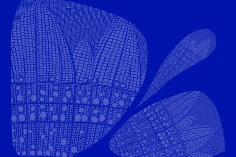 Kronos Quartet "Forgive Us For" (2025)