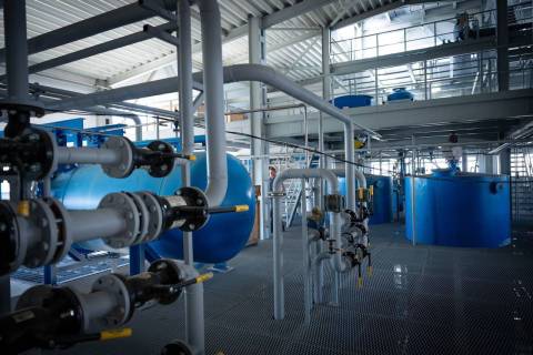 Інвестори вкладуть понад 10 мільйонів євро у завод із рафінації олії на Львівщині