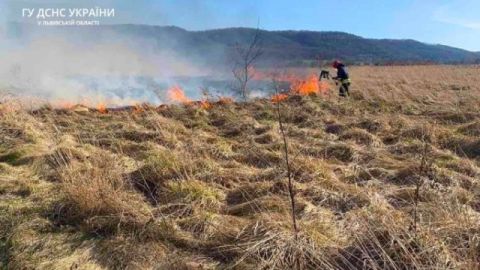 За добу на Львівщині зафіксували дві пожежі сухостою