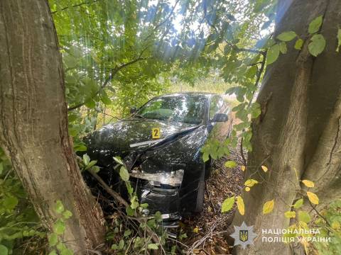 На Стрийщині у ДТП постраждали  двоє дітей на немовля