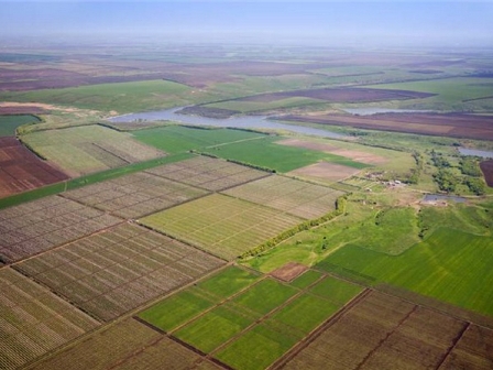 На Львівщині приватному підприємству надали земельну ділянку