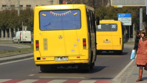 Синютка банить стрийських перевізників за порушення закону