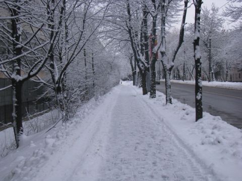 На Жовківщині від переохолодження загинула людина