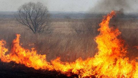 На Львівщині зафіксовано 9 пожеж сухостою