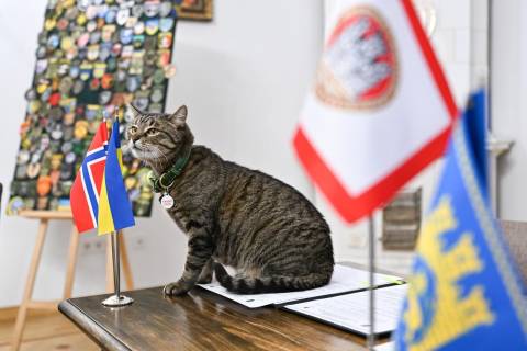 Норвезьке місто стало містом-побратимом Львова