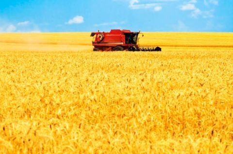 Україна може виробляти майже втричі сільськогосподарської продукції більше – експерт