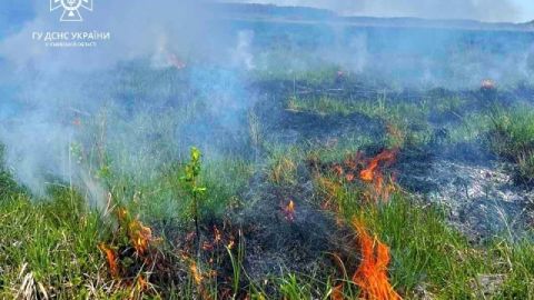 На Львівщині горіли суха трава та чагарник