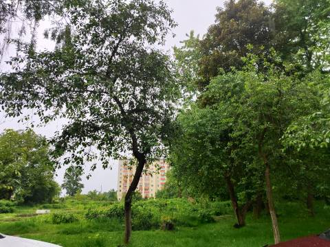 Міськрада планує здати в оренду ділянку в Дублянах для будівництва житлового комплексу з колективного проживання сімей