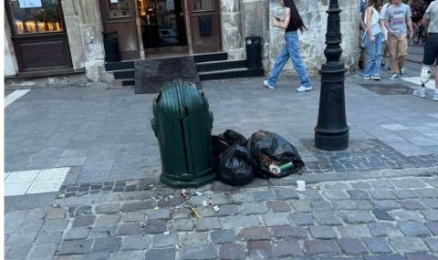 Підриємці економлять на вивезенні сміття з центру Львова 