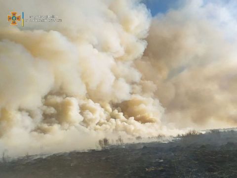 За добу на Львівщині затримали десять паліїв сухостою