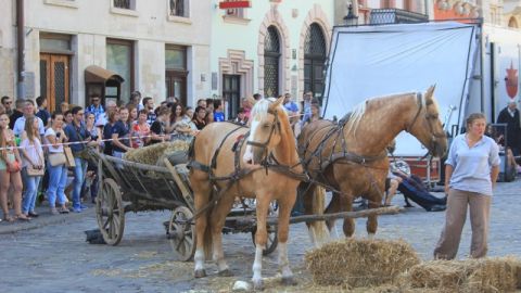 Юрій Винничук заявив про ймовірність бойкоту фільму Шляхетні волоцюги