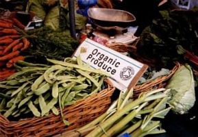 Львів'яни зможуть придбати товари на ярмарку органічної продукції