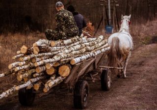 Гаї Верхні, 2015 рік