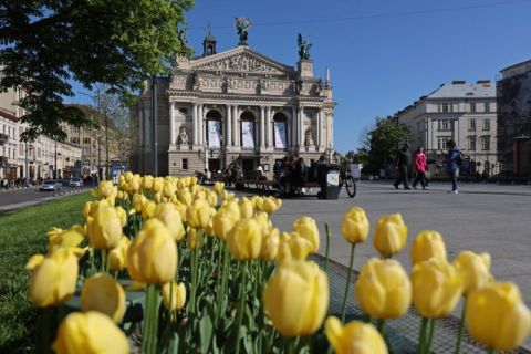 Консульство Нідерландів передало Львову 120 тисяч цибулин тюльпанів